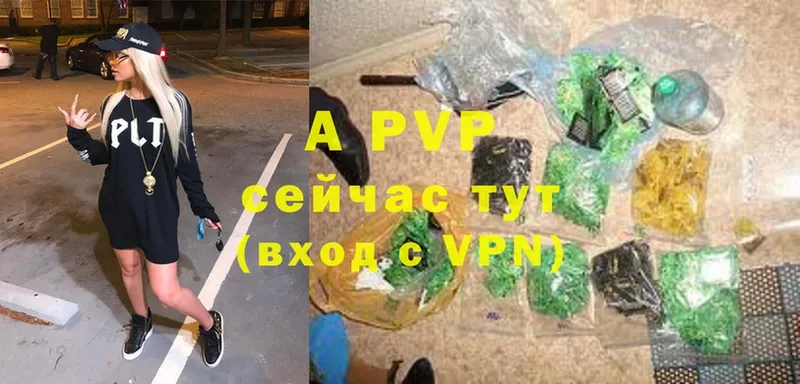 A PVP СК  Заинск 